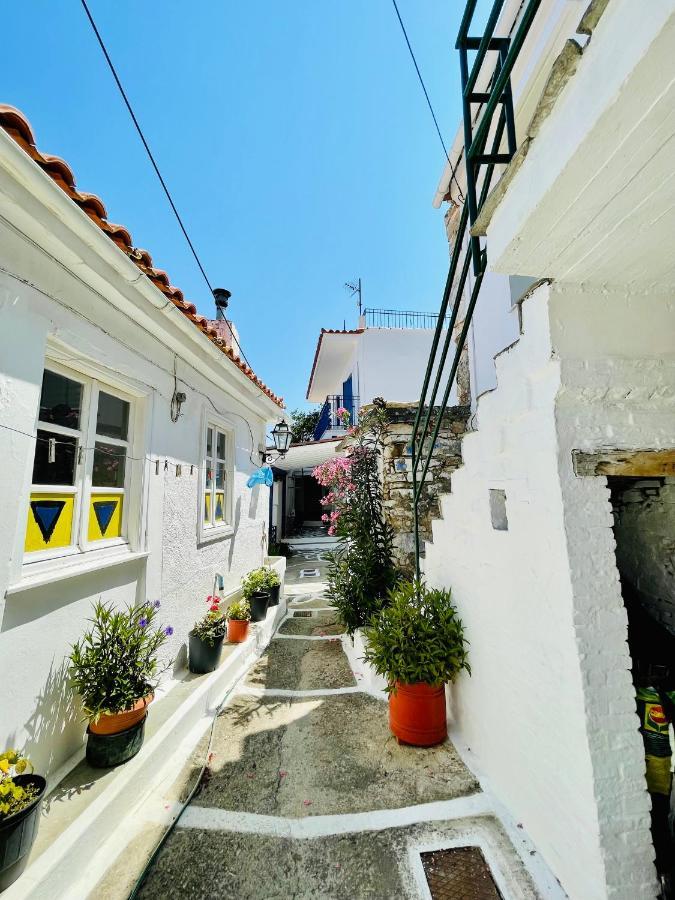Άκρη Του Κόσμου Villa Ampelos  Kültér fotó
